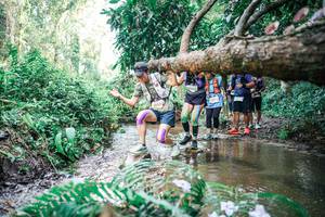 BIB: 
                            <button type="button" onclick="openModal(25478411)" class="btn btn-primary btn-sm float-right btn-popup" data-toggle="modal" data-target=".modal-high-quality">
                        <i class="fas fa-shopping-cart"></i> Add to Cart
                    </button>
                                            <button type="button" onclick="isThisMe(25478411, true)" class="btn btn-success btn-sm float-right btn-popup btn-isme hidden" data-toggle="tooltip" data-placement="bottom" title="นี่คือรูปของคุณใช่ไหม คลิกที่นี่เพื่อเอาเข้าอัลบั้ม">
                        <i class="fas fa-plus"></i> Add to album
                    </button>
                    <button type="button" onclick="isThisMe(25478411, false)" class="btn btn-warning btn-sm float-right btn-popup btn-isnotme hidden">
                        <i class="fas fa-ban"></i> Remove from album
                    </button>